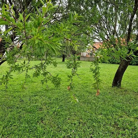 Hébergement de vacances Gabriella House Policnik