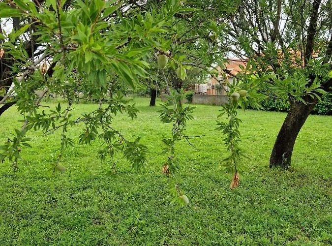 別荘 Gabriella House Poličnik